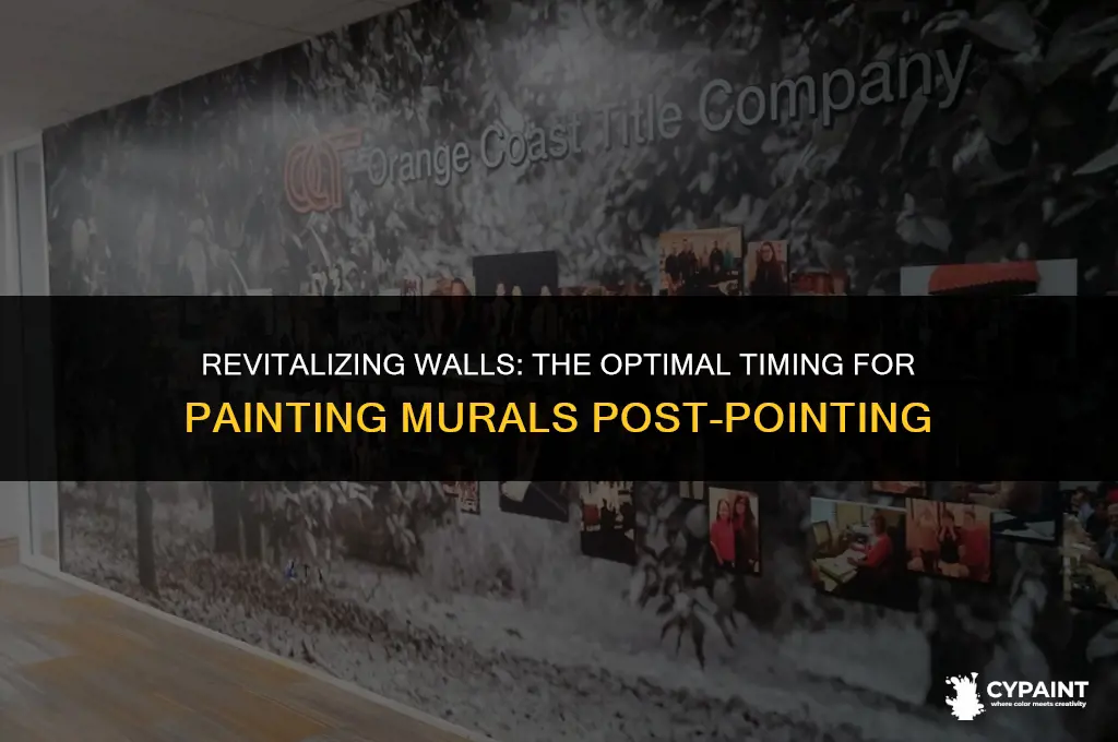 how soon can you paint murals after pointing