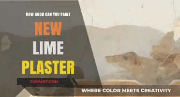 Fresh Lime Plaster: When to Start Painting for a Flawless Finish
