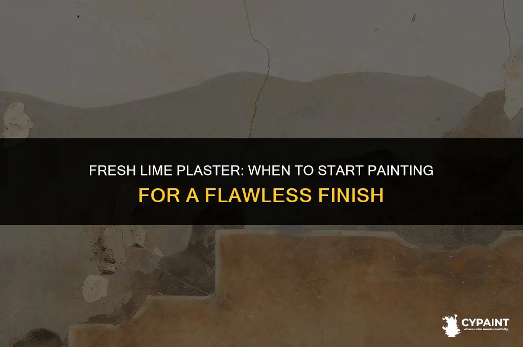 how soon can you paint new lime plaster