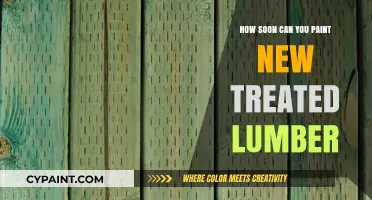 Revamping Your Outdoor Space: Painting New Treated Lumber