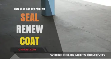 The Best Time to Paint or Seal Renew Coat