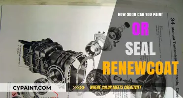 Revamping Your Space: A Guide to Painting and Sealing RenewCoat