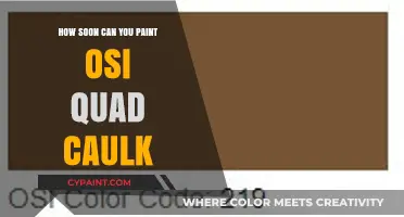 Painting Over OSI Quad Caulk: A Comprehensive Guide