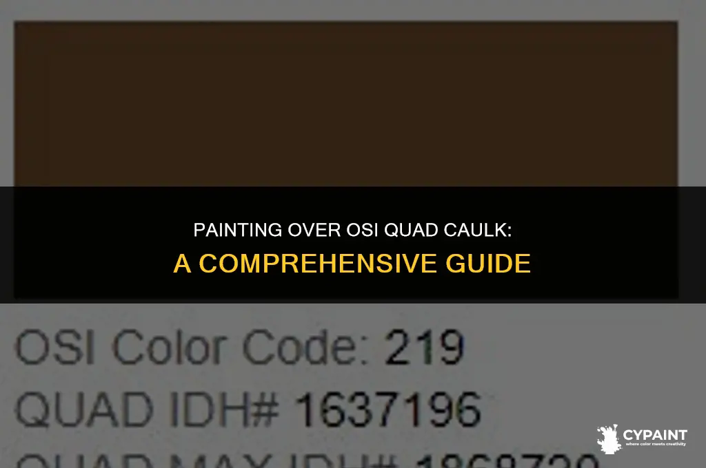 how soon can you paint osi quad caulk