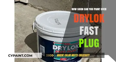 When to Paint Over Drylok Fast Plug