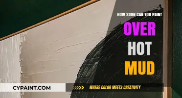 Quick Tips: Painting Over Hot Mud - What You Need to Know