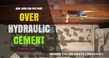 Painting Over Hydraulic Cement: Timing and Tips for a Flawless Finish