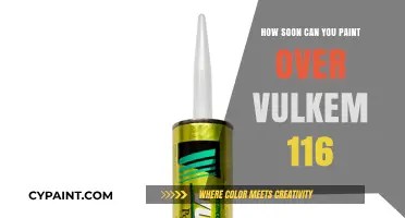 Revamping Your Space: Painting Over Vulkem 116 - A Comprehensive Guide