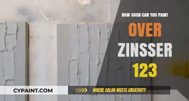Revamping Your Space: Painting Over Zinsser 123 Primer