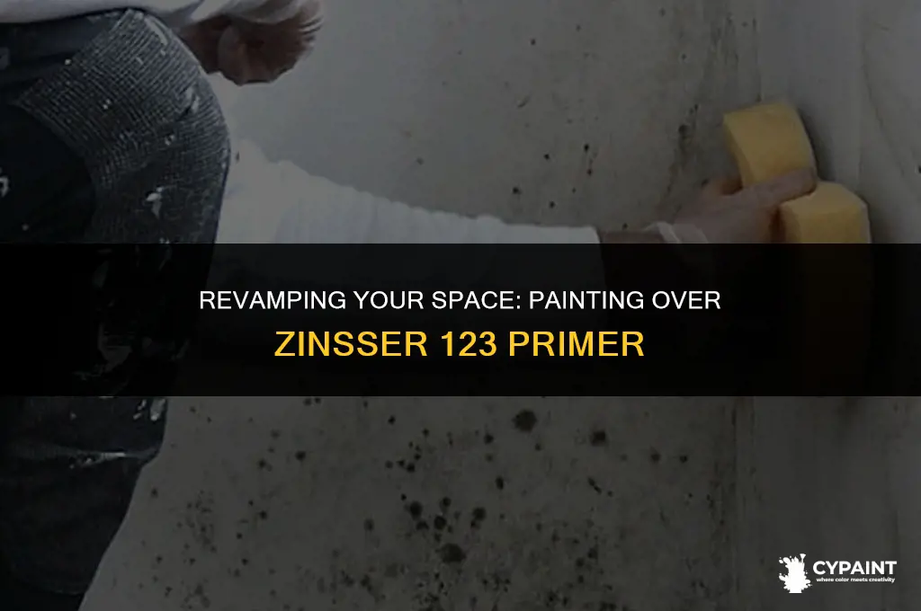 how soon can you paint over zinsser 123