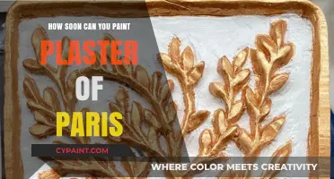 Mastering Plaster of Paris: A Guide to Optimal Painting Timing
