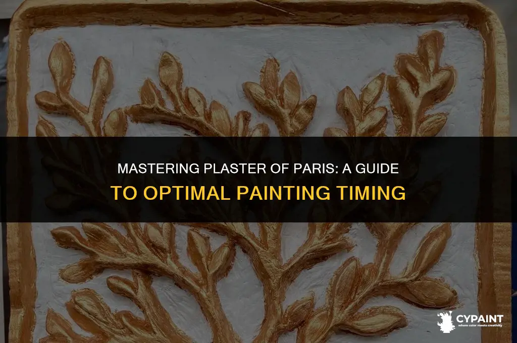 how soon can you paint plaster of paris