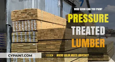 Painting Pressure-Treated Lumber: Timing and Tips for a Flawless Finish