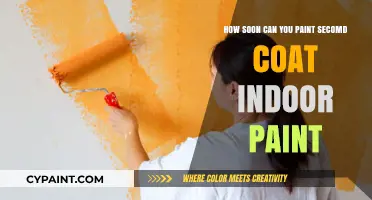 When to Paint a Second Coat: Quick Tips