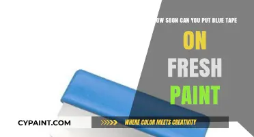 When to Apply Blue Tape on Fresh Paint: Timing Tips