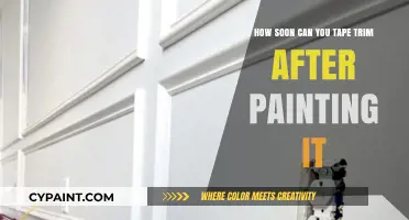 The Best Time to Tape Trim After Painting