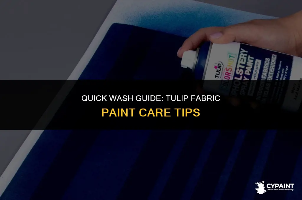 how soon can you wash tulip fabric paint
