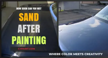 Mastering the Art of Wet Sanding: A Post-Painting Guide