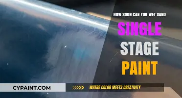 When to Wet Sand Single-Stage Paint
