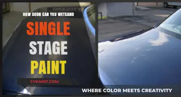 Mastering the Art of Wet Sanding Single Stage Paint
