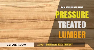 Painting Pressure-Treated Lumber: Timing Tips for Best Results