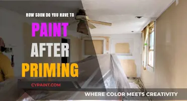 Primer Application: When to Paint?