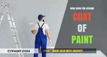 Perfect Timing for Second Coat: Paint Drying Tips and Tricks