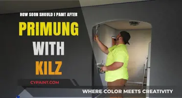 Primer to Paint: How Long to Wait After Using Kilz?