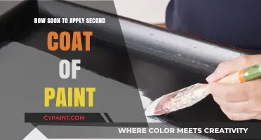 Perfect Timing: When to Apply Your Second Coat of Paint