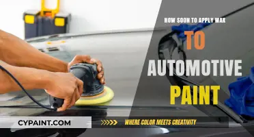 When to Wax Your Car: Timing Tips for Perfect Paint Protection