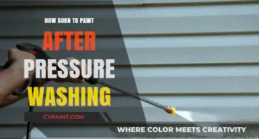 Perfect Timing: Painting After Pressure Washing for Lasting Results