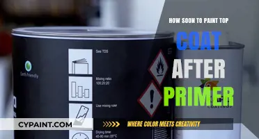 Perfect Timing: When to Apply Top Coat After Primer