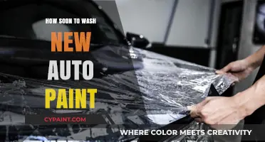 When to Wash New Auto Paint: Timing Tips for Optimal Care