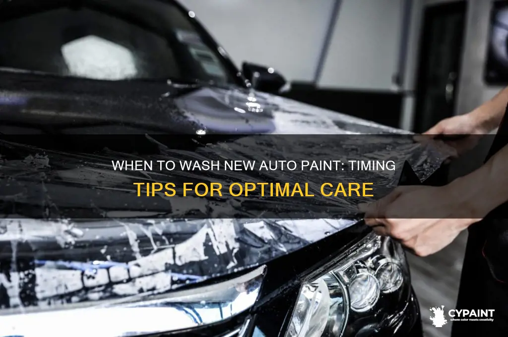 how soon to wash new auto paint