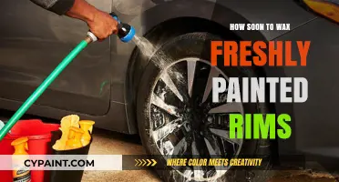 When to Wax Freshly Painted Rims: Timing Tips for Perfect Shine