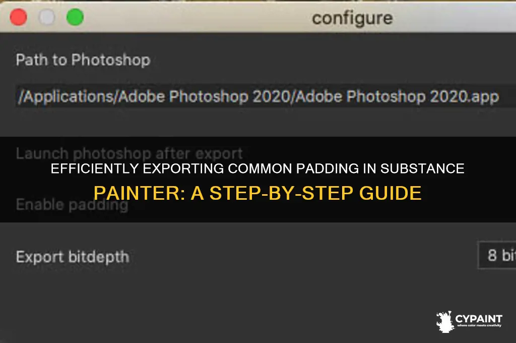 how sould you export your common padding in substance painter