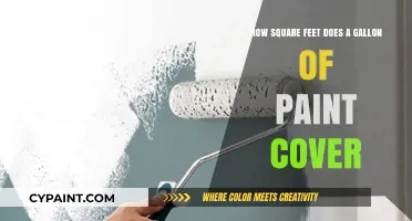 Gallon of Paint: How Much Area Will It Cover?
