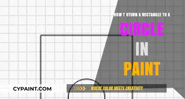 Transforming Rectangles to Circles: A Simple Paint Tutorial Guide