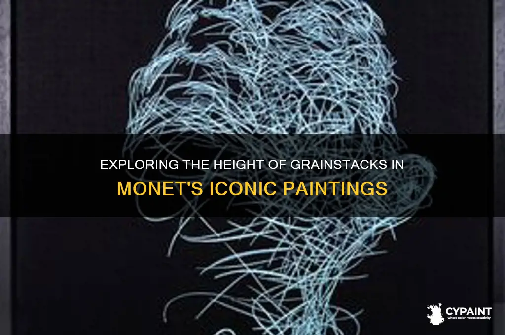 how tall are grainstacks in monet