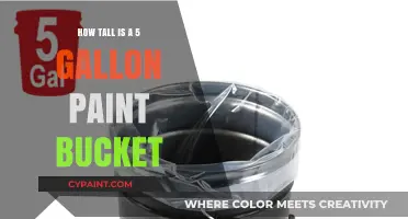 Standard 5-Gallon Paint Bucket Height: Dimensions and Practical Uses