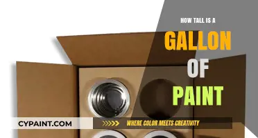 Understanding Paint Volume: How Tall is a Gallon of Paint?