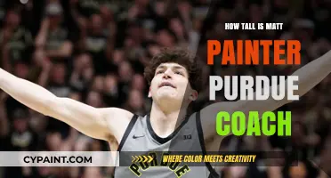 Matt Painter's Height: Unveiling Purdue's Coach's Stature