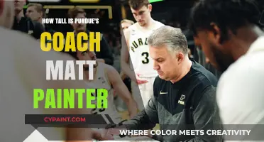 Matt Painter's Height: Unveiling Purdue's Coach's Stature