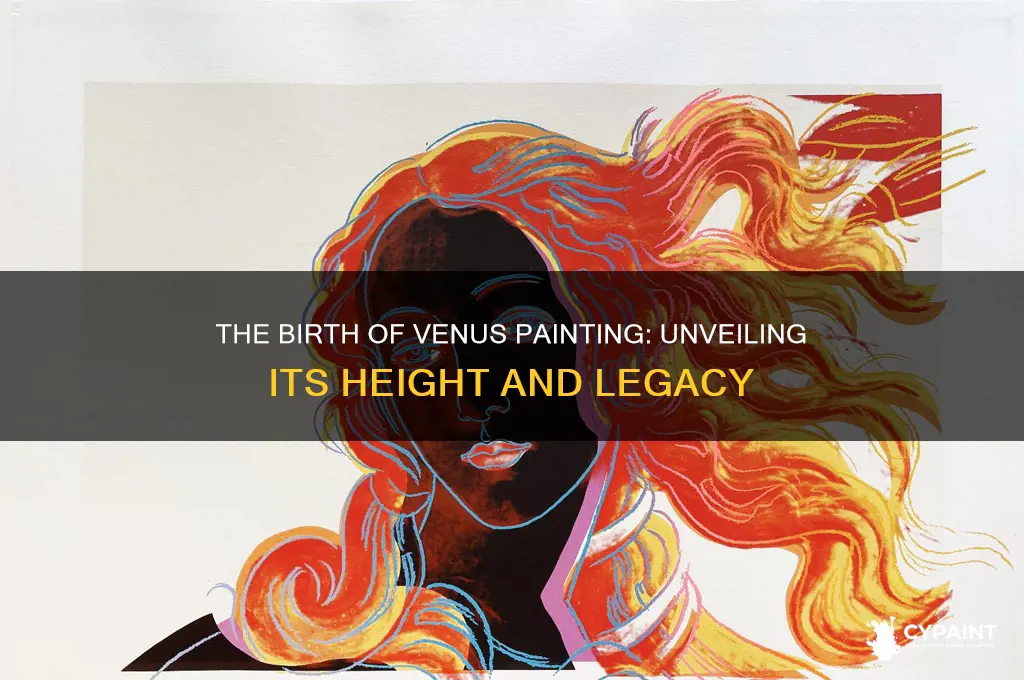 how tall is the birth of venus painting