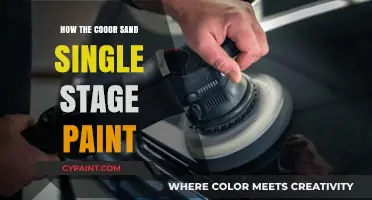 Mastering Cooor Sand Single Stage Paint: Tips for a Flawless Finish