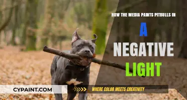 Media's Negative Portrayal of Pitbulls: Unfair and Untrue
