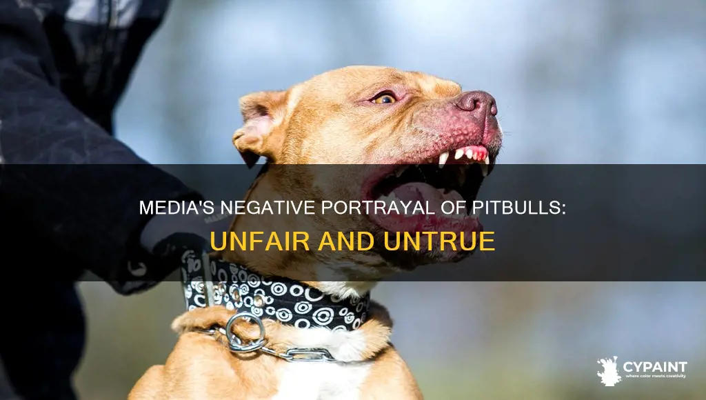 how the media paints pitbulls in a negative light