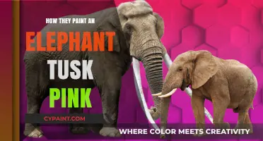 Why Elephant Tusks Are Painted Pink: Conservation or Controversy?
