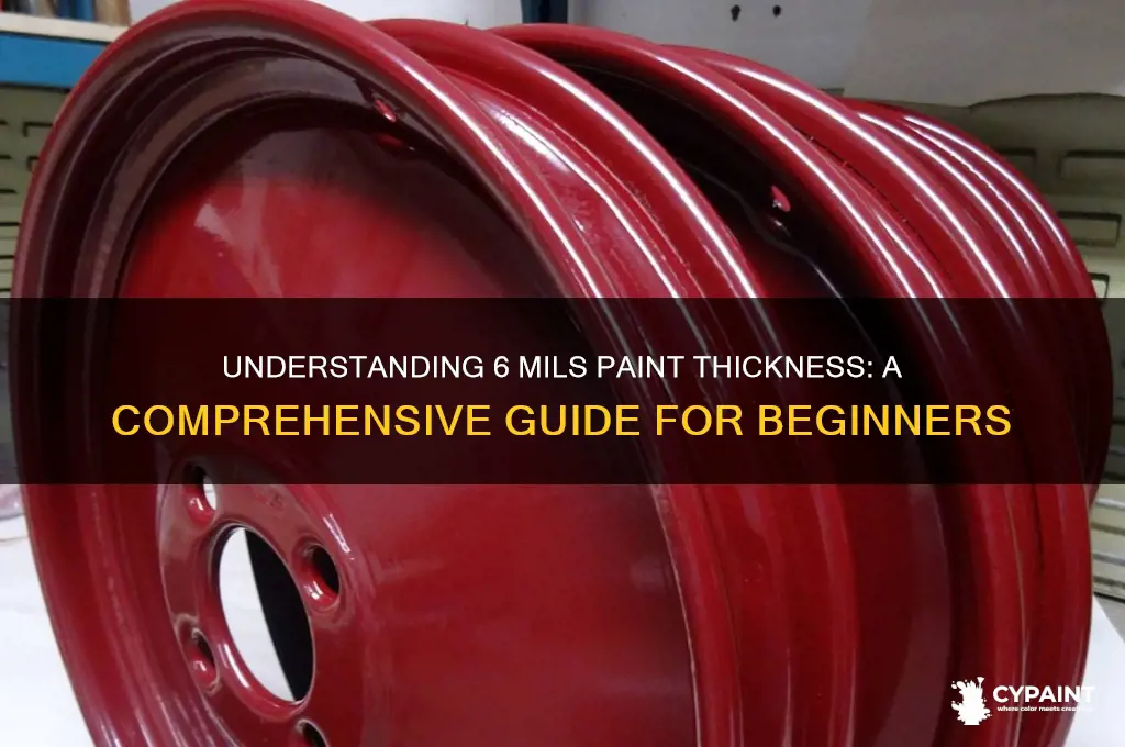 how thick is 6 mils of paint