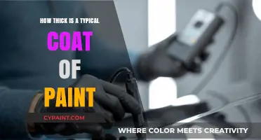 Understanding the Standard Thickness of a Typical Coat of Paint